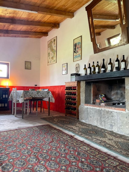 Frascati: Vineyard Wine Tasting Tour with Snacks 1