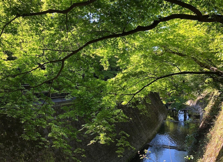 A serene river flowing through a lush, green forest with a stone bridge. 3