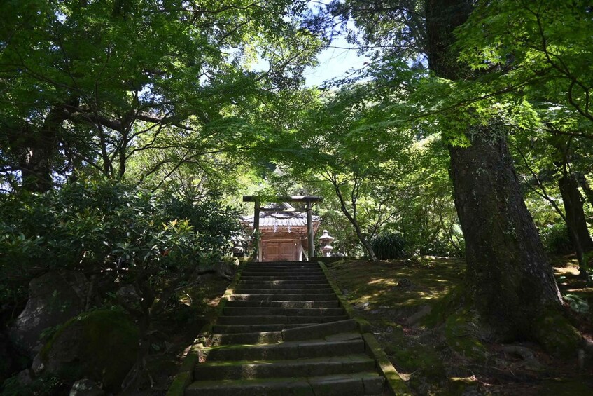 A stone staircase leading to a traditional Japanese structure surrounded by lush greenery. 5