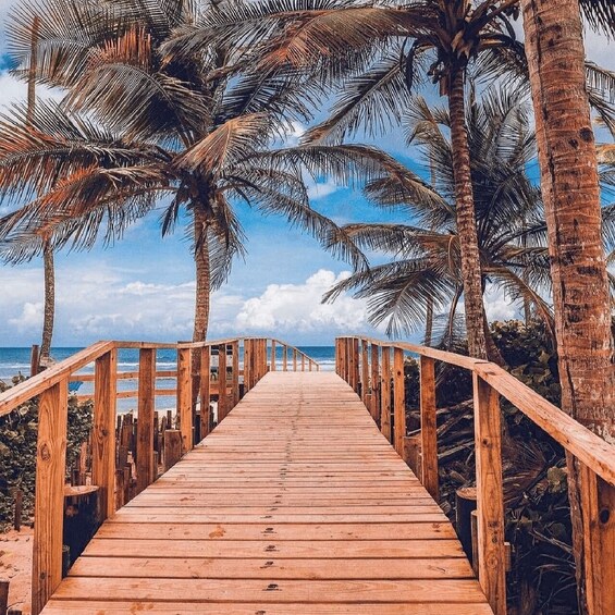 A wooden boardwalk leading to a beach with palm trees. 3