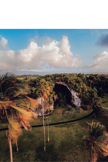 A lush landscape with a natural arch formation, palm trees, and a clear sky. 5