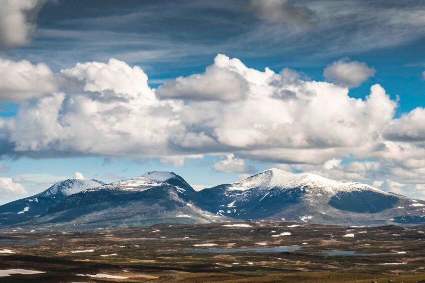 Picture 4 for Activity Jämtland: 4-Day Midsummer Hiking Tour with Guide 3