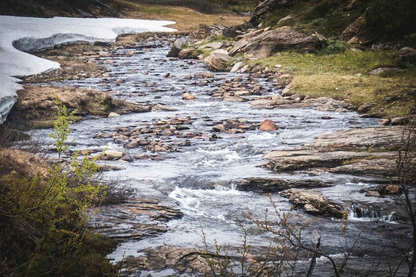 Picture 7 for Activity Jämtland: 4-Day Midsummer Hiking Tour with Guide 4