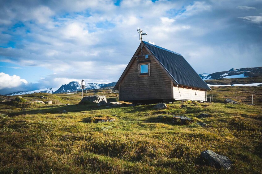 Picture 2 for Activity Jämtland: 4-Day Midsummer Hiking Tour with Guide 2
