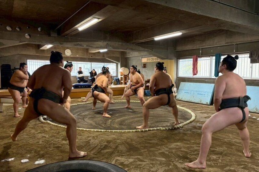 Nagoya Authentic Sumo Morning Practice 1