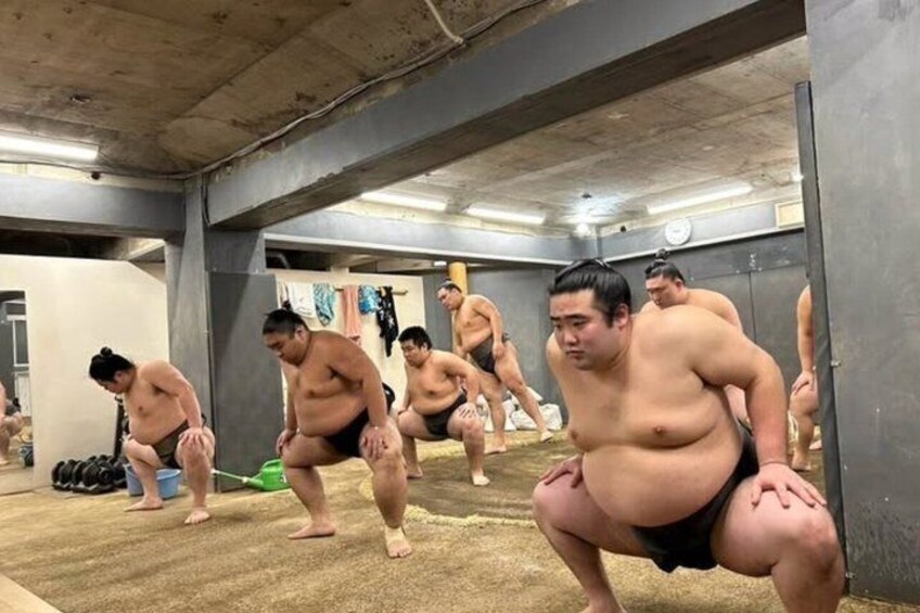 Nagoya Authentic Sumo Morning Practice 2
