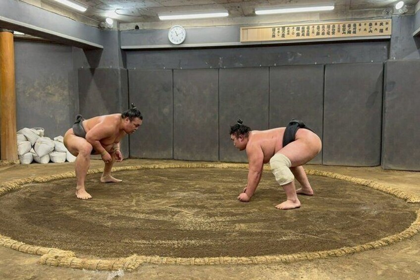 Nagoya Authentic Sumo Morning Practice 4