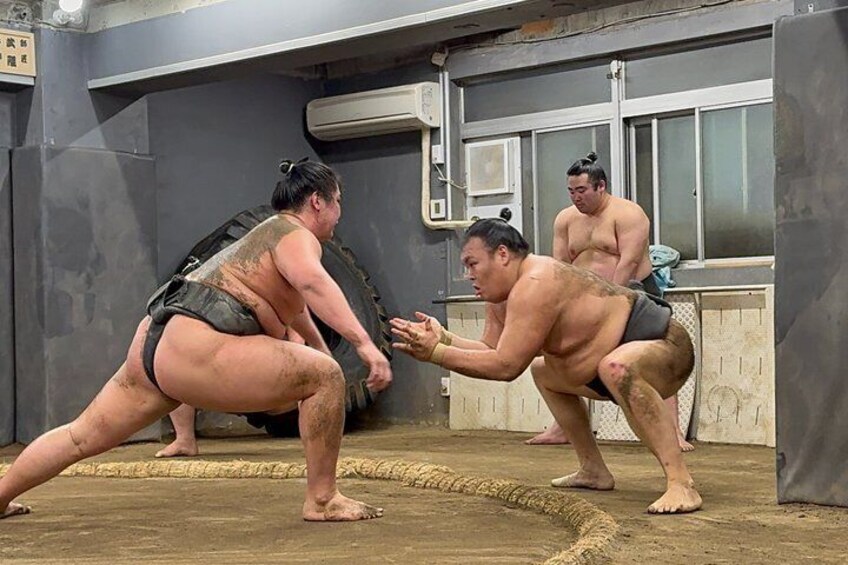 Nagoya Authentic Sumo Morning Practice 5