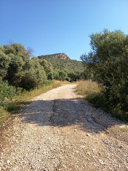 A gravel path leading to a hill with dense vegetation. 2