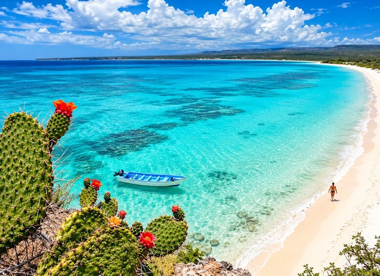 A clear turquoise sea, a sandy beach, and a rowboat. 5