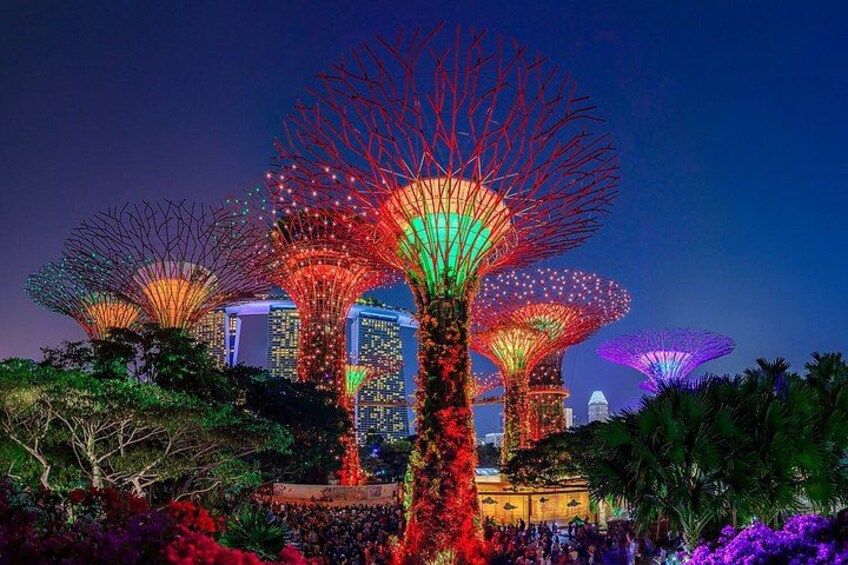 Singapore Night River Cruise, Garden Rhapsody & Spectra 1