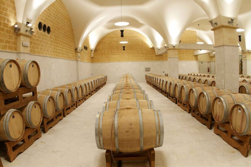 A wine cellar with rows of wooden barrels and arched ceilings. 2