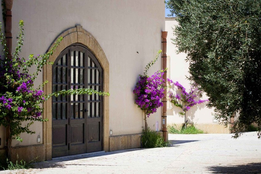 A building with a large arched door and purple bougainvillea flowers. 4