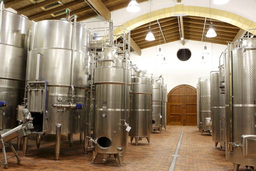 Picture 4 for Activity Mazara del Vallo: Full Tasting Tour at Assuli Winery 3