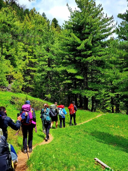 Picture 2 for Activity Ferizaj: Guided Mountain Hiking and Via Ferrata Adventure 5