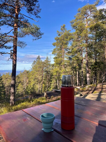 Picture 12 for Activity Oslo: Forest Hike with Panoramic Fjord Views and a dog 4