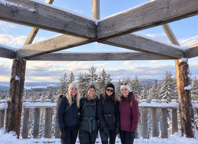 A wooden structure with a snowy landscape in the background. 2