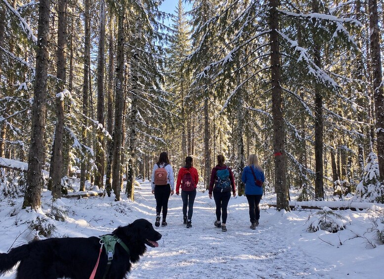 A group of people walking through a snow-covered forest. 3