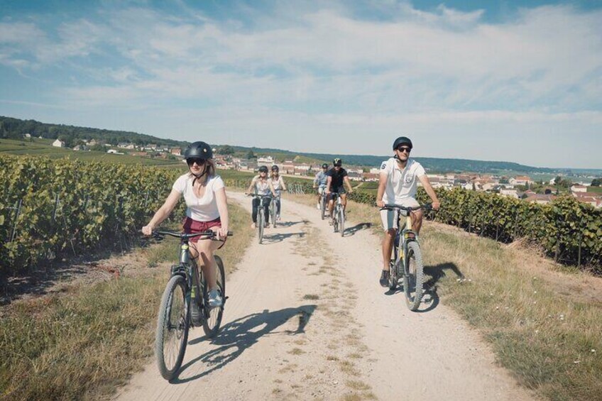 A group of cyclists on a dirt path surrounded by vineyards. 1