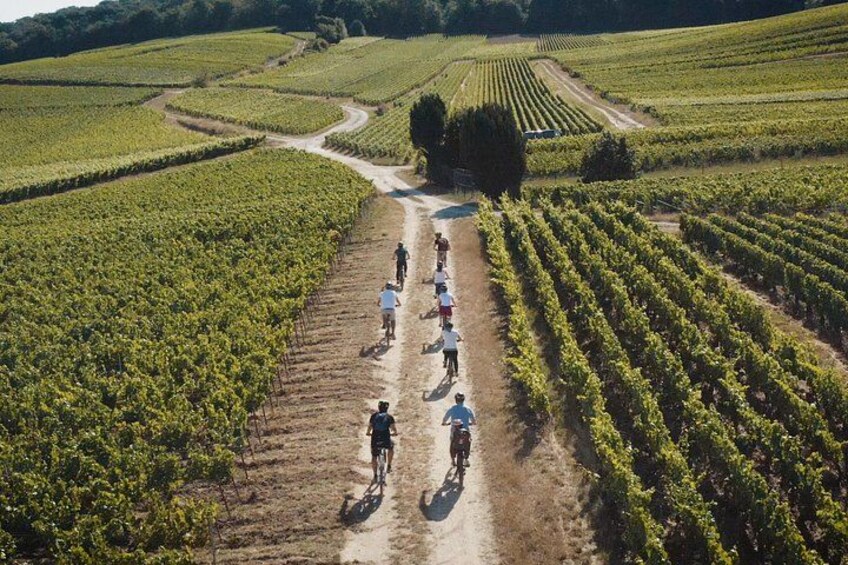 Reims: Half-day cycling in Champagne with tastings 5