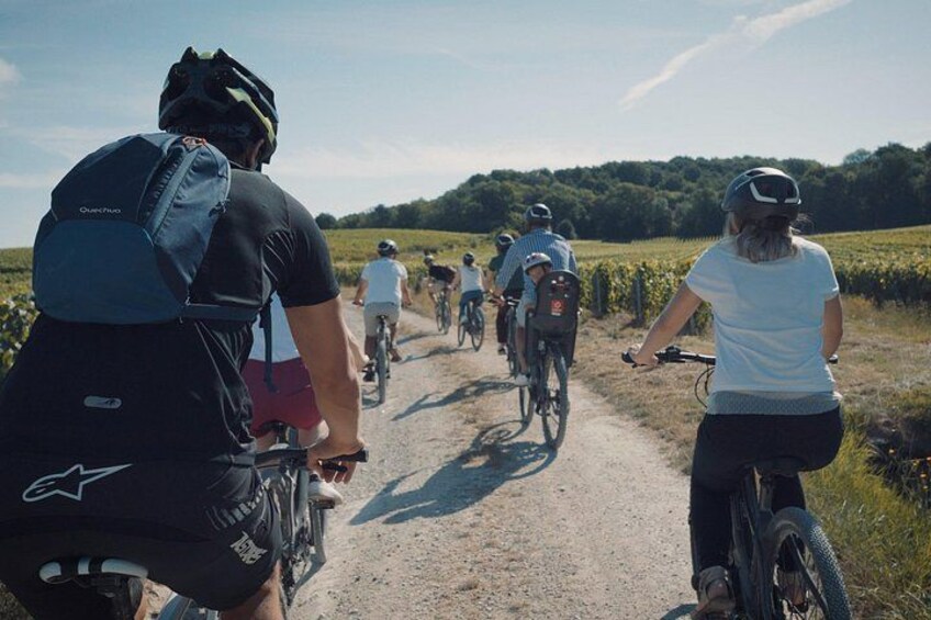 Reims: Half-day cycling in Champagne with tastings 2