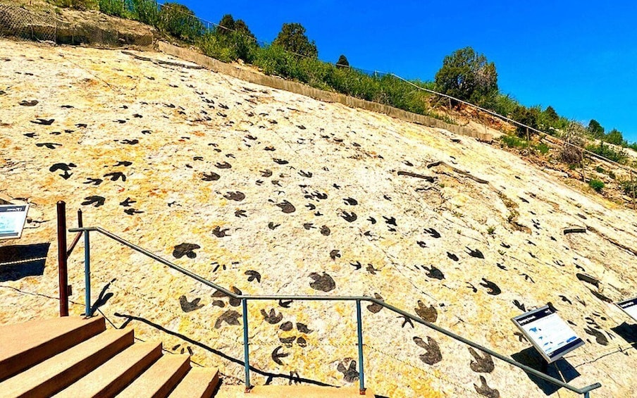 A rocky hillside with numerous animal tracks and a staircase leading up. 2