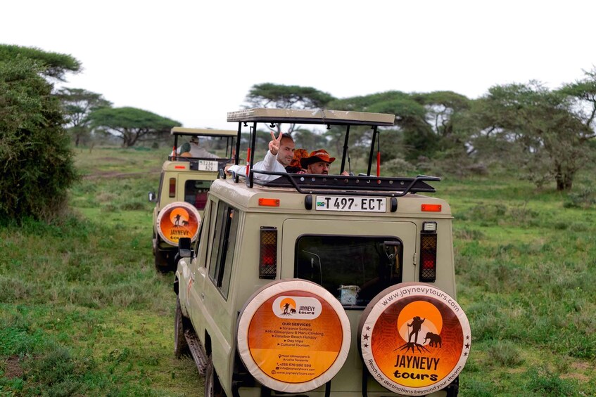 Picture 2 for Activity Arusha: Tarangire National Park Private Day Trip 2