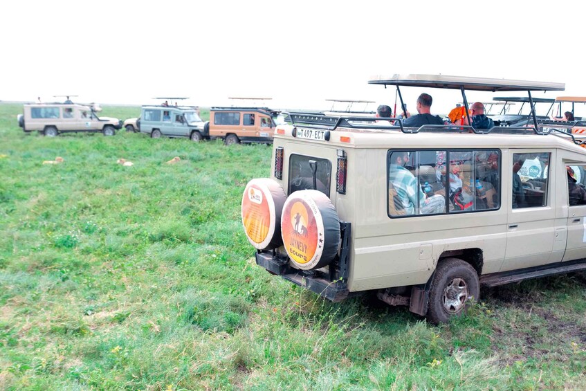 Picture 4 for Activity Arusha: Tarangire National Park Private Day Trip 3