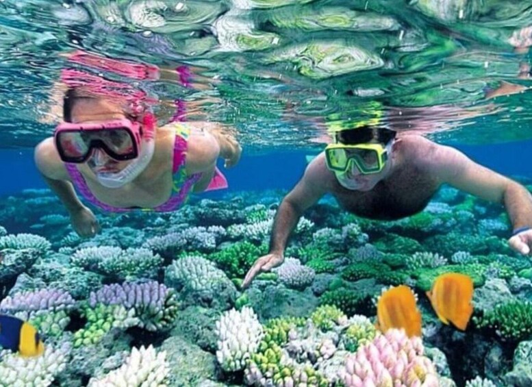 Two people snorkeling underwater with coral reefs and fish. 3
