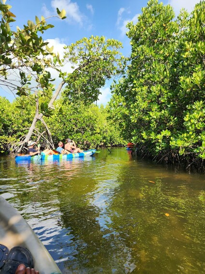 People in a blue raft on a river surrounded by mangrove trees. 3