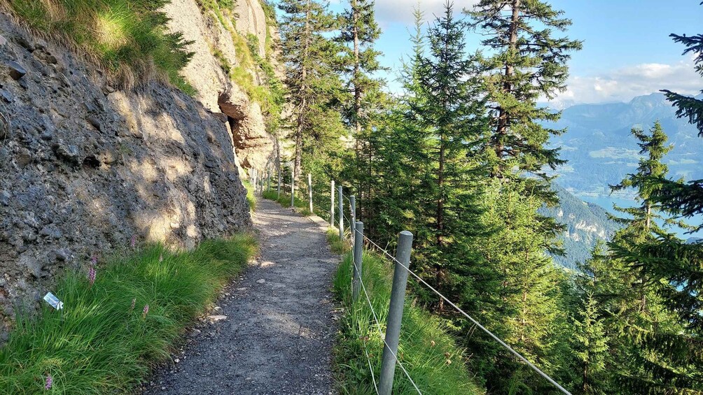 A gravel path bordered by a rocky cliff and coniferous trees, leading to a mountainous landscape. 4