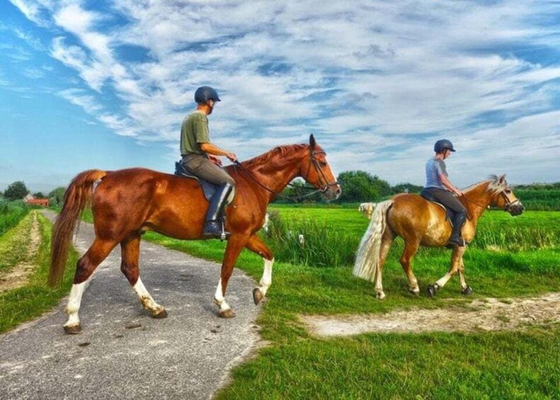 Two people riding horses on a rural path. 5