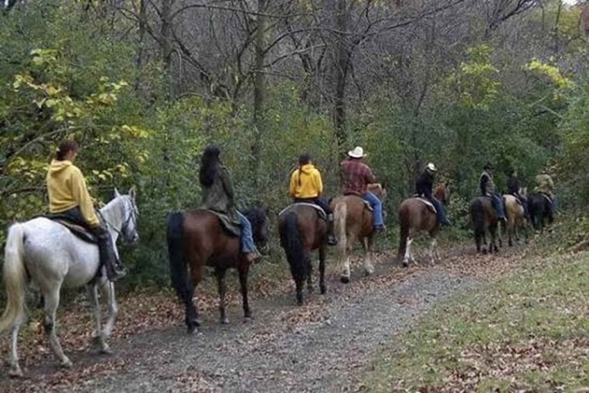 A group of people riding horses on a dirt path surrounded by trees. 4