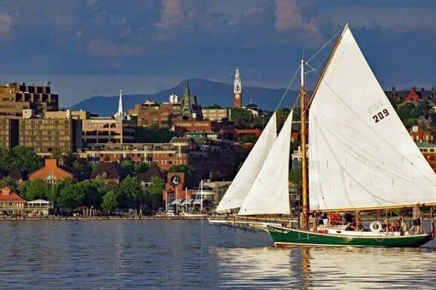 A sailboat with sails numbered 209 on a body of water with a cityscape in the background. 4