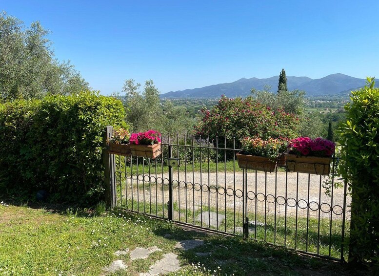 A metal gate with flower boxes, lush greenery, and a mountainous landscape in the background. 5
