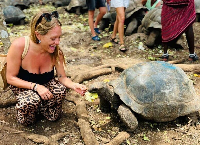 A person crouching next to a large tortoise on a dirt ground with logs and leaves. 2