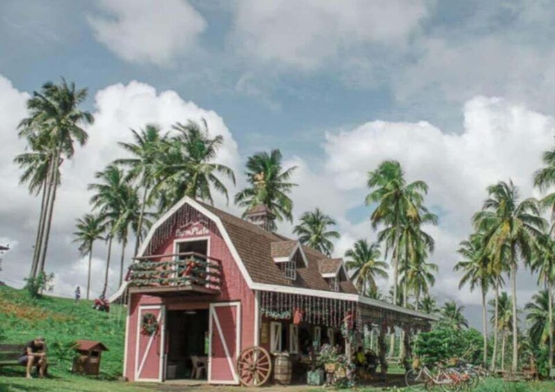 A red barn with a porch, surrounded by palm trees and greenery. 2