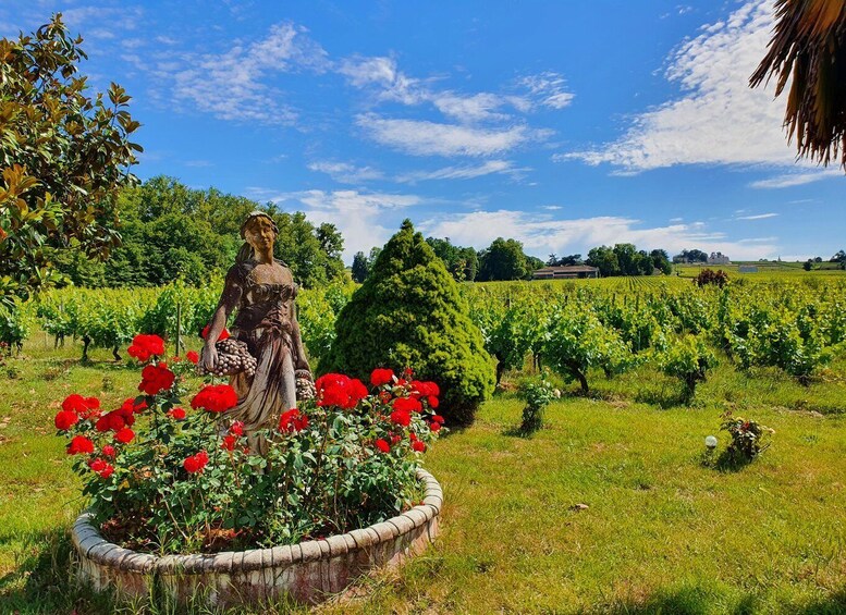 A statue in a garden with red roses and vineyards in the background. 2
