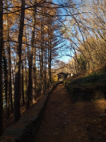 Picture 3 for Activity Lake Como: Guided tour on the Wanderer's Path 3