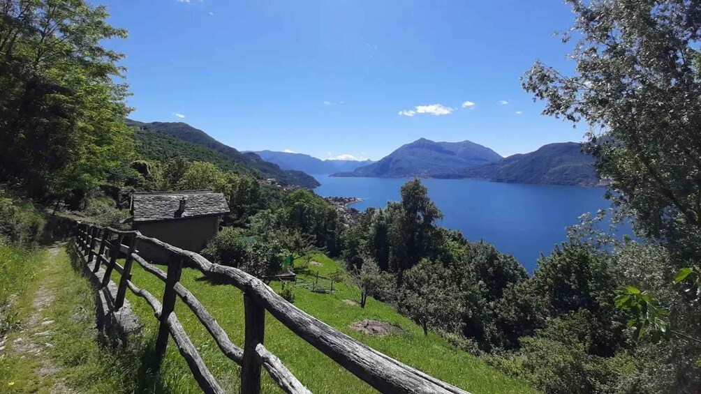 Lake Como: Guided tour on the Wanderer's Path 1