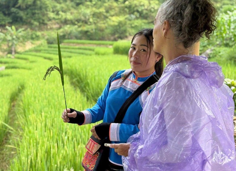 Two people in a field with one holding a stick. 3