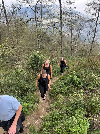 A group of people hiking on a forest trail with trees and a mountain in the background. 2