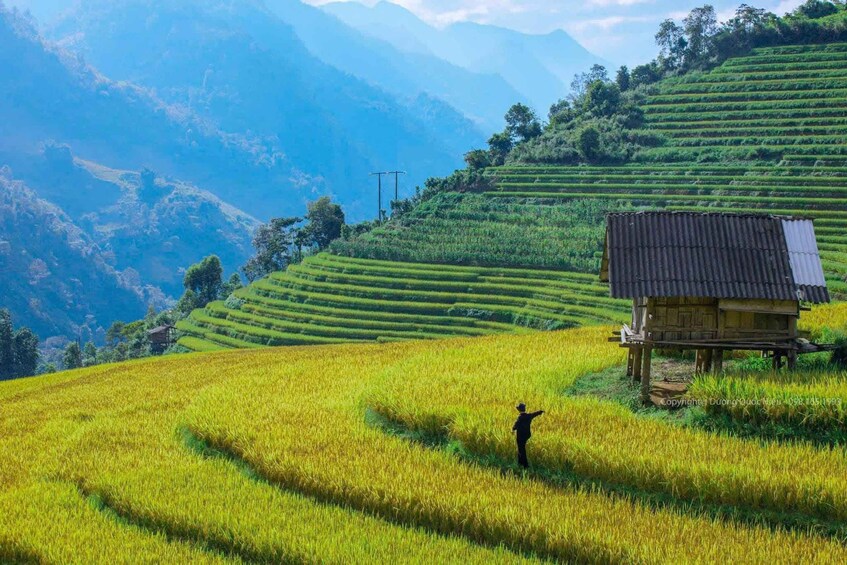 Terraced rice fields, a person standing, and a wooden structure. 1