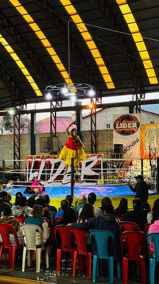 A performer in a red and yellow costume on a stage with a crowd seated in front. 2