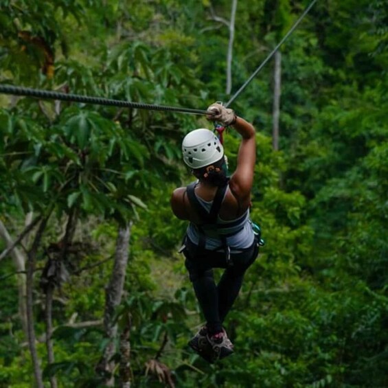 A person zip-lining through a dense forest. 3