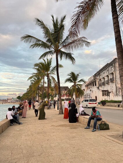 Un paseo marítimo costero con palmeras, gente sentada y caminando, y edificios históricos. 5