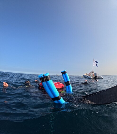 A person swimming in the ocean with blue flotation devices and a boat in the background. 5