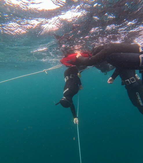 Two divers underwater, one descending with a rope, the other ascending. 1