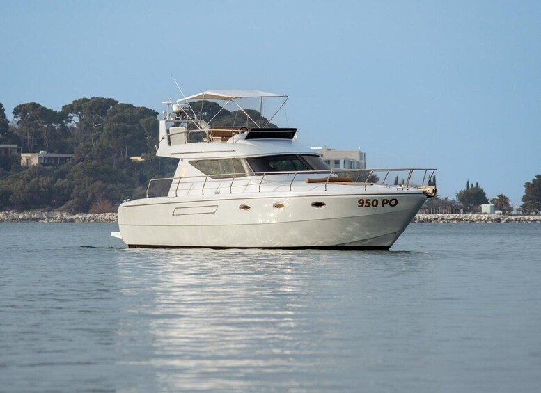 A white yacht with the number 950 PO on its side, sailing on calm waters with a rocky shoreline and trees in the background. 1