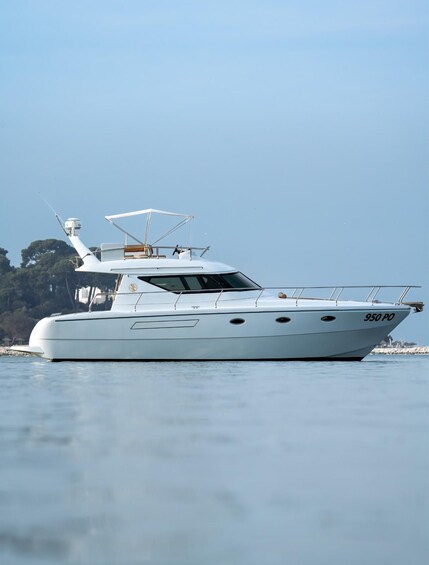 A white yacht with the number 950 PO on its side, floating on calm water. 4
